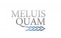 Logo # 103947 voor Melius Quam wedstrijd