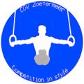 Logo # 18178 voor Competition in style wedstrijd