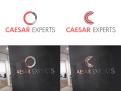 Logo # 521196 voor Caesar Experts logo design wedstrijd