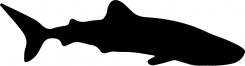 Logo design # 602033 for silhouette drawing of a whale shark contest