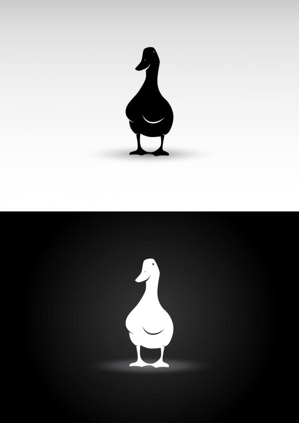 300x300