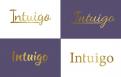 Logo # 1301390 voor Ontwerp een personal brand logo voor Intuigo wedstrijd