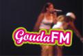 Logo # 97705 voor GoudaFM Logo wedstrijd