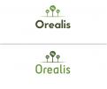 Logo # 376207 voor Logo voor Orealis wedstrijd
