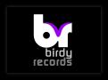 Logo design # 216303 for Record Label Birdy Records needs Logo contest