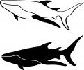 Logo design # 602167 for silhouette drawing of a whale shark contest