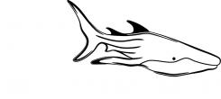 Logo design # 602081 for silhouette drawing of a whale shark contest