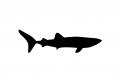 Logo design # 601909 for silhouette drawing of a whale shark contest