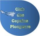 Logo design # 497137 for Logo for a diving club in France : 