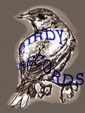 Logo design # 212592 for Record Label Birdy Records needs Logo contest