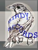 Logo design # 212593 for Record Label Birdy Records needs Logo contest