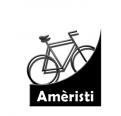 Logo design # 161991 for Logo / lettering for a new bike brand (Pedelec/ebike) contest