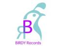 Logo design # 216966 for Record Label Birdy Records needs Logo contest