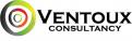 Logo # 176994 voor logo Ventoux Consultancy wedstrijd