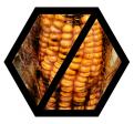 Logo  # 88277 für Scheiß Mais! Wettbewerb