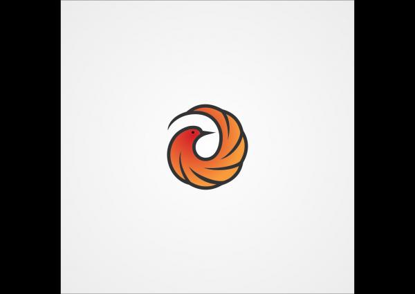 300x300