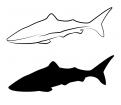 Logo design # 602950 for silhouette drawing of a whale shark contest
