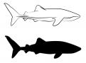 Logo design # 602954 for silhouette drawing of a whale shark contest