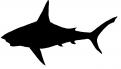 Logo design # 605636 for silhouette drawing of a whale shark contest