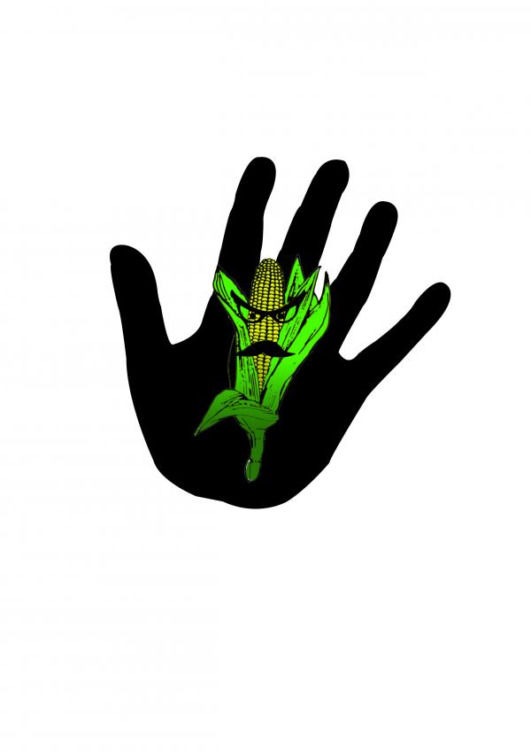 300x300