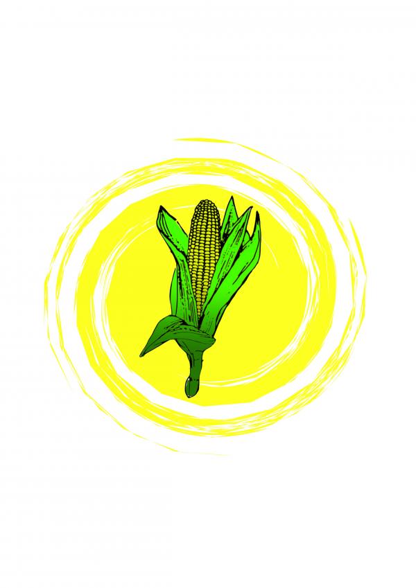 300x300