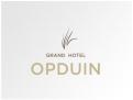 Logo # 211969 voor Desperately seeking: Beeldmerk voor Grand Hotel Opduin wedstrijd