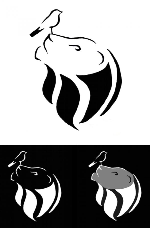 300x300