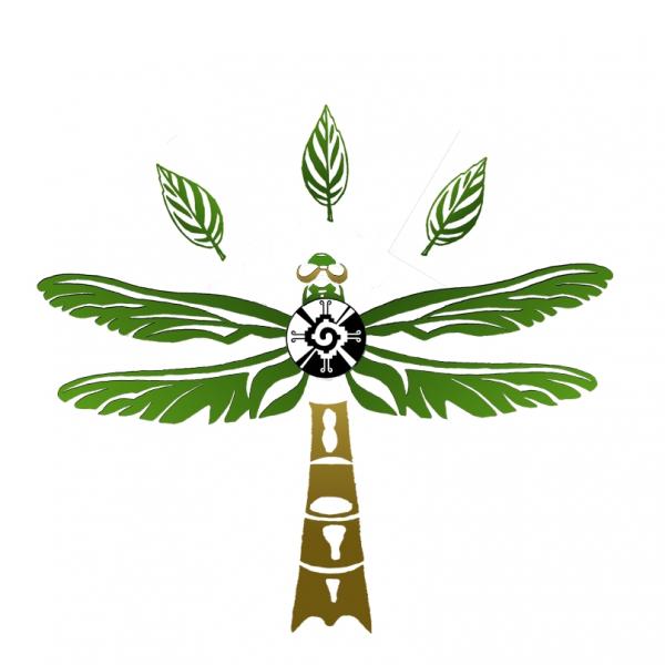 300x300
