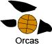 Logo design # 994999 for We throw a  basketball  ball! And are looking for a sporty and hip logo with orca! contest