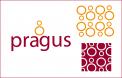Logo # 30793 voor Logo voor Pragus B.V. wedstrijd