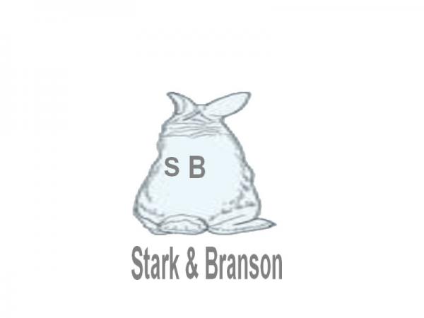 300x300