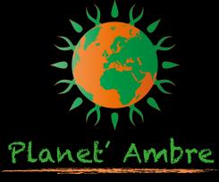 Logo design # 85868 for Logoo for my little entreprise Planet'Amber contest