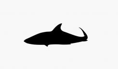 Logo design # 604845 for silhouette drawing of a whale shark contest