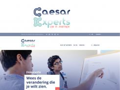 Logo # 517810 voor Caesar Experts logo design wedstrijd