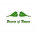 Logo # 35996 voor Logo voor Brands of Nature (het online natuur warenhuis) wedstrijd
