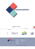 Logo # 517421 voor Caesar Experts logo design wedstrijd