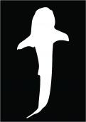 Logo design # 604448 for silhouette drawing of a whale shark contest