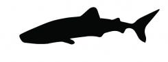 Logo design # 604451 for silhouette drawing of a whale shark contest