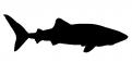 Logo design # 604454 for silhouette drawing of a whale shark contest