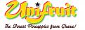 Logo # 33591 voor logo voor Ghanees ananas produktie en export bedrijf wedstrijd