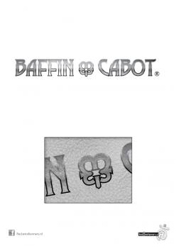 Logo # 173689 voor Wij zoeken een internationale logo voor het merk Baffin Cabot een exclusief en luxe schoenen en kleding merk dat we gaan lanceren  wedstrijd