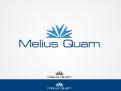 Logo # 104259 voor Melius Quam wedstrijd