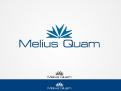 Logo # 104561 voor Melius Quam wedstrijd