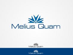 Logo # 104561 voor Melius Quam wedstrijd