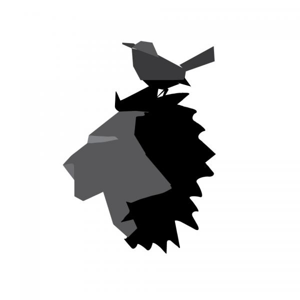 300x300