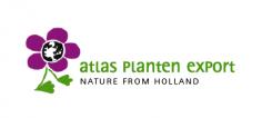 Logo design # 543323 for Flowers from Holland like to go abroad ! contest