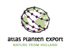 Logo design # 543322 for Flowers from Holland like to go abroad ! contest