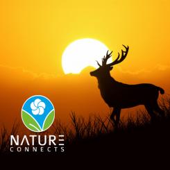 Logo design # 750083 for Logo, business cards for company that organizes off the beaten track nature trips contest