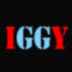 Logo design # 74688 for IGGY contest