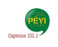 Logo # 402233 voor Radio Péyi Logotype wedstrijd